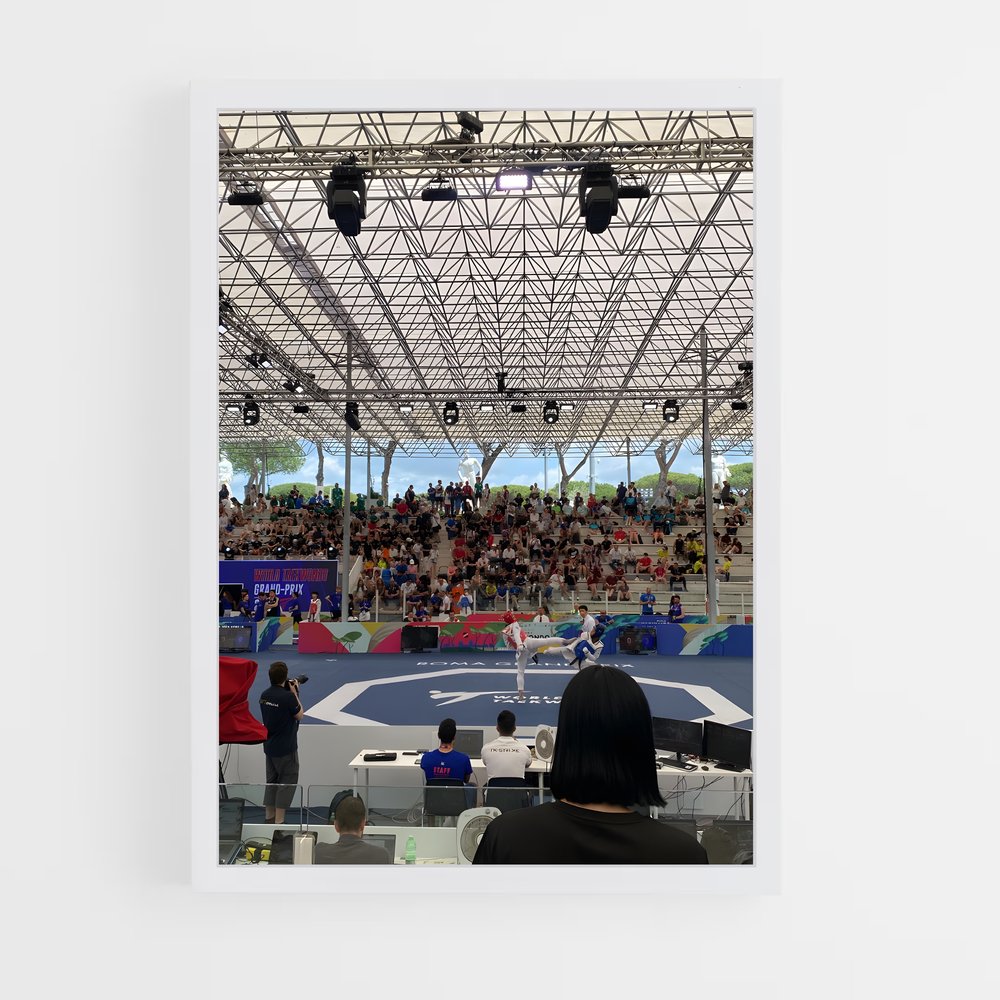 Poster Taekwondo en Fête (vue 3)